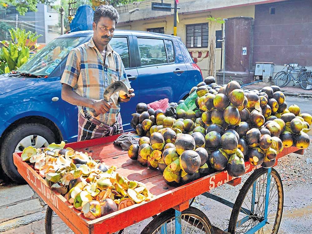 Bengaluru is seeing a good sale of palm fruits this season.