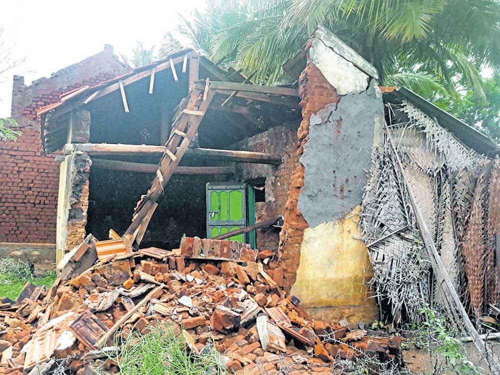 Houses collapsed due to heavy downpour in Hedatale village in Nanjangud taluk on Sunday. Dh Photo