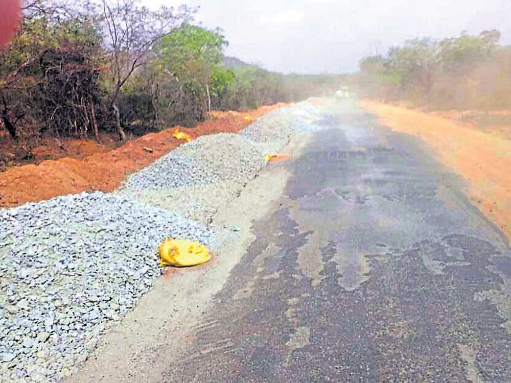 Widening the road will pose a greater danger to animals from speeding vehicles, besides escalating the man-animal conflict, says Shankar, a wildlife conservationist from MM Hills.
