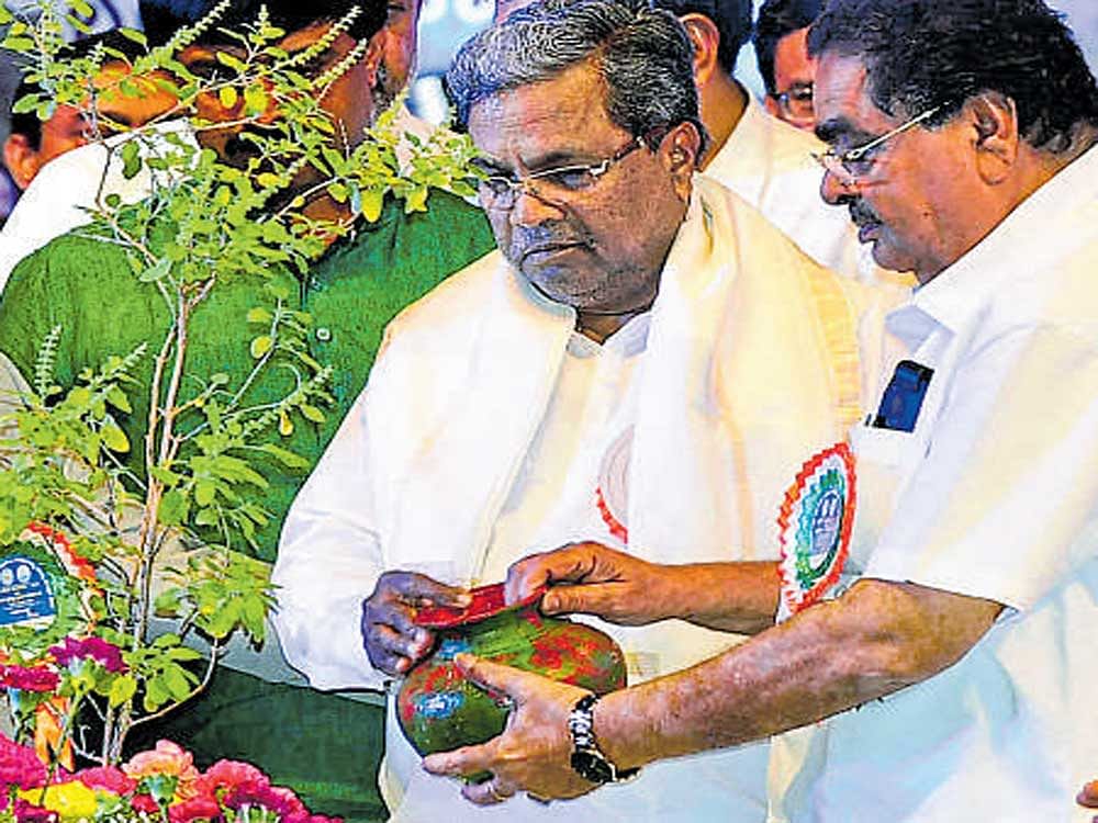 Chief Minister Siddaramaiah waters a sapling at a programme to distribute awards on the occasion of World Environment Day in Bengaluru on Monday. dh photo