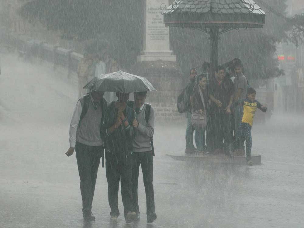 The India Meteorological Department (IMD) Director General, K J Ramesh, said the revision to 98 per cent precipitation of the Long Period Average (LPA), was done because of reduced chances of occurrence of an El-Nino, a phenomenon associated with the heating of the Pacific waters. Press Trust of India file photo