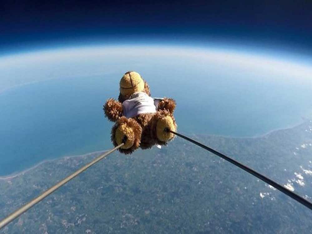 A teddy bear rose to 100,000 feet into space after it was tied to a helium balloon. Twitter