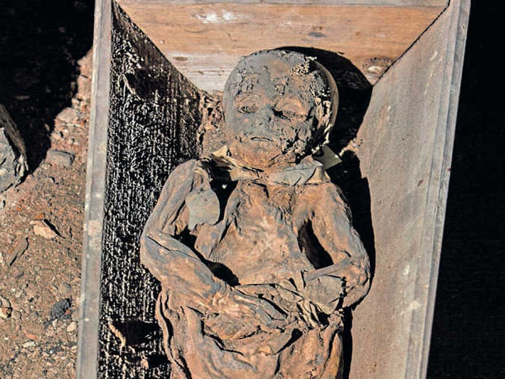 One of 23 mummies found in a church crypt in Lithuania. PHOTO CREDIT:&#8200;Kiril Cachovski via NYT