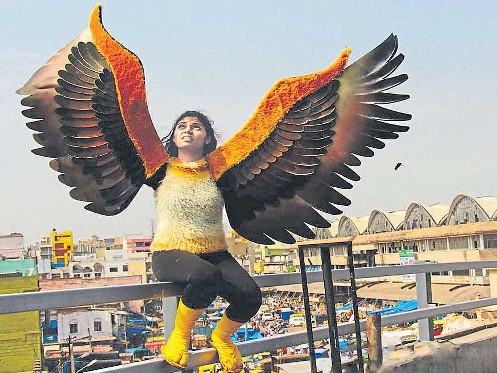 grabbing attention Ranjana dressed up as an eagle on City Market flyover.