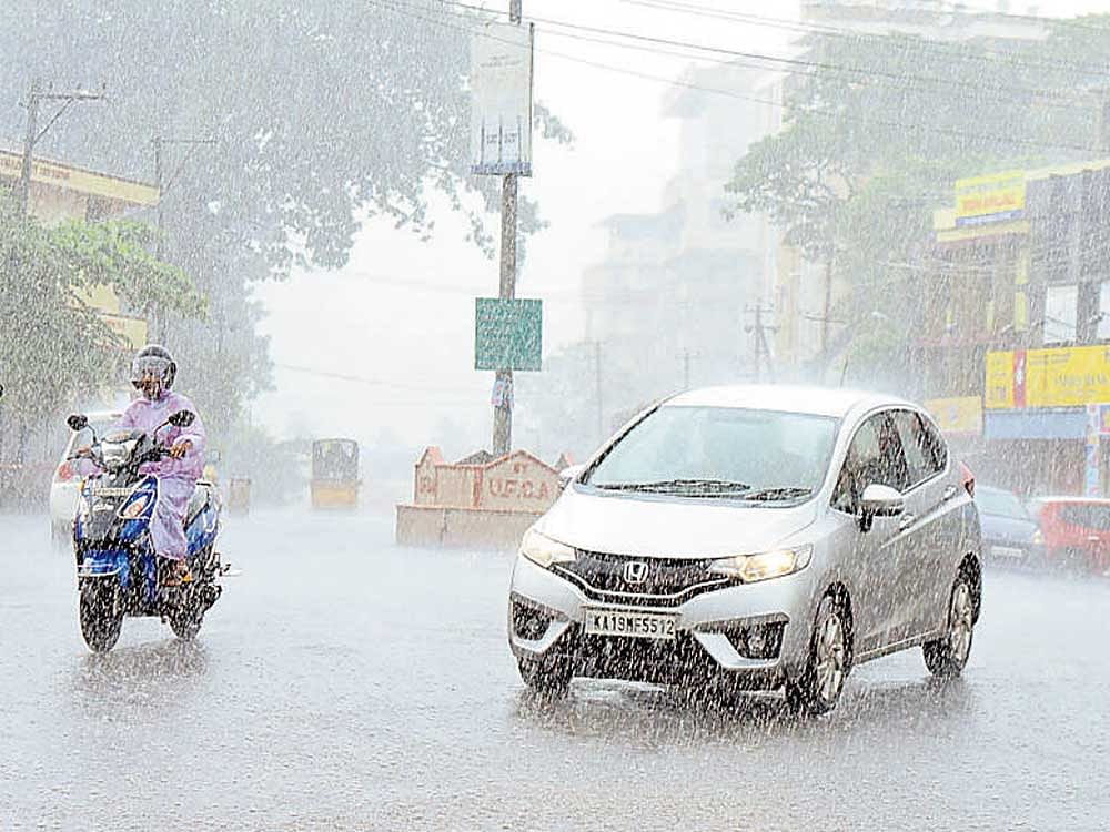Motorists navigate Urva Circle in Mangaluru amid heavy rain on Friday. DH Photo