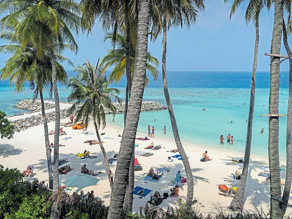 vulnerable: A popular public beach on the Maafushi island, Maldives. The killing in April of a blogger, who was a strong voice against growing Islamic radicalisation, has amplified safety concerns - particularly for foreign tourists, on whom the islands' economy depends. nyt file