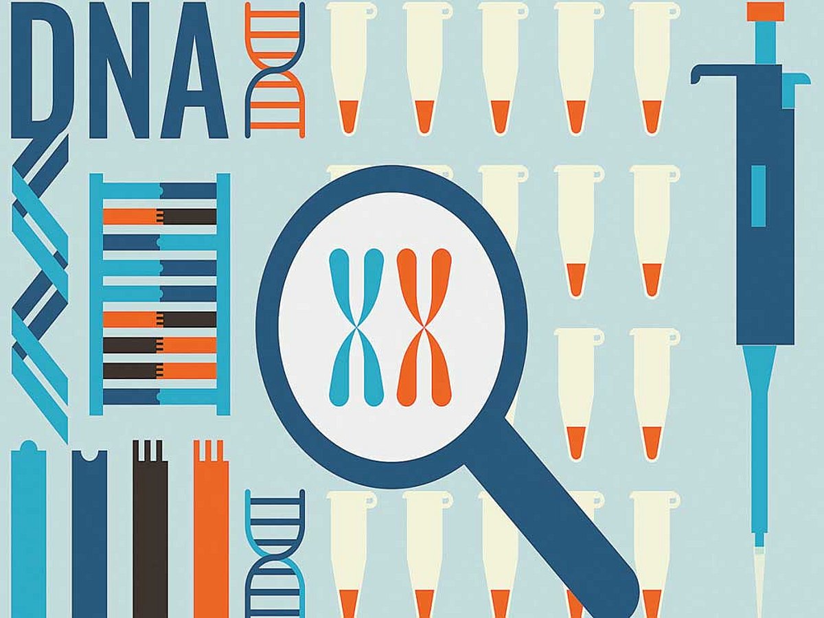 Importing Genetics The genetics of migration