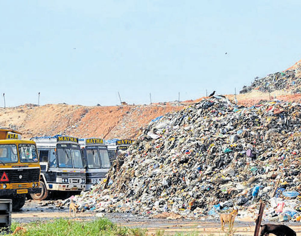 The BBMP and  the Karnataka Renewable Energy Development Corporation Ltd had jointly taken up the project to process 1,000 tonnes of garbage a day and generate 8 MW  of electricity at Mandur. DH file photo