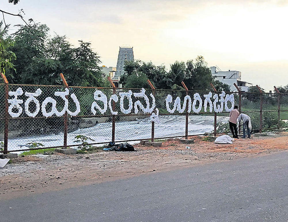 The artwork with the message in Kannada, 'Kereya Neerannu Oorige Chelli' (spill the lake  water into the city), carved on the mesh around Bellandur lake.