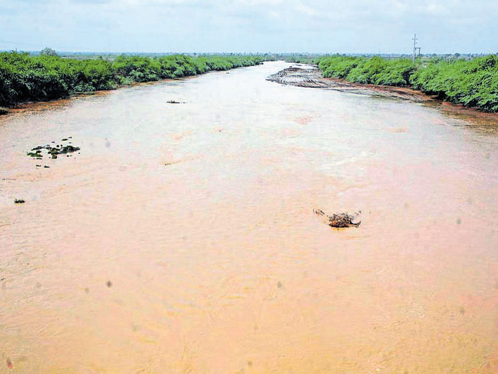 The water level in Doni river has increased at Sarawada in Vijayapura taluk following rain in the area. (Right) KR&#8200;Nagar in Mysuru district received heavy rain on Tuesday afternoon. DH Photos