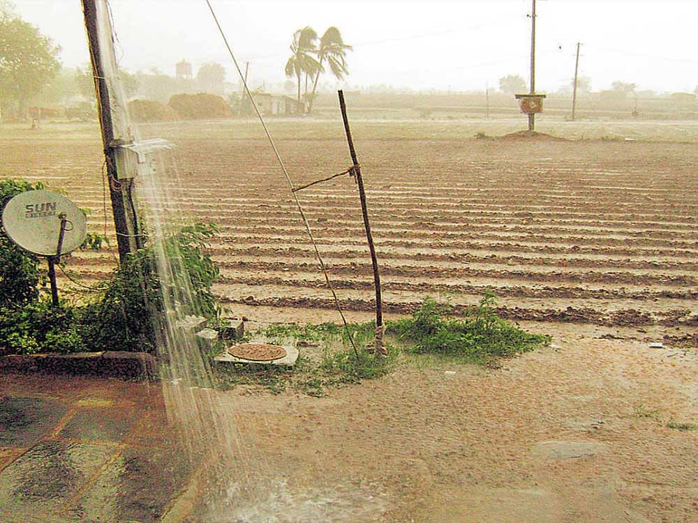 Rain lashes Muddapura village near Kampli in Ballari  district on Friday evening. DH Photo
