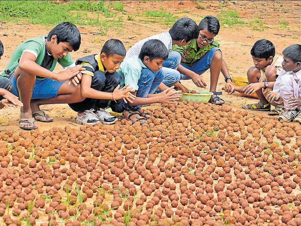 The Forest department has tied up with Jawahar Navodaya educational institutions in all districts to sow 28 lakh seed balls. DH File Photo