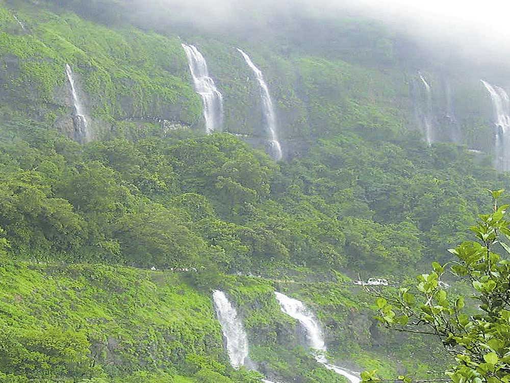 The department is preparing a guidebook about the many lush waterfalls in Karnataka. File Photo