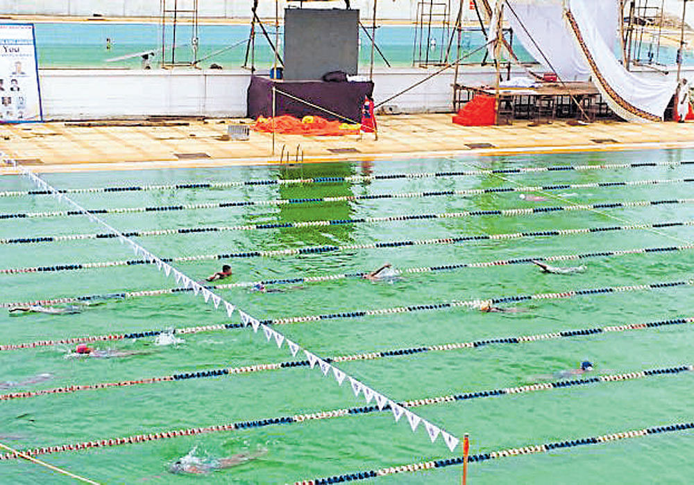 colour trouble: The Shree Shiv Chhatrapati Shivaji sports complex pool wears a green look just a day ahead of the  Sub-junior National Championships.