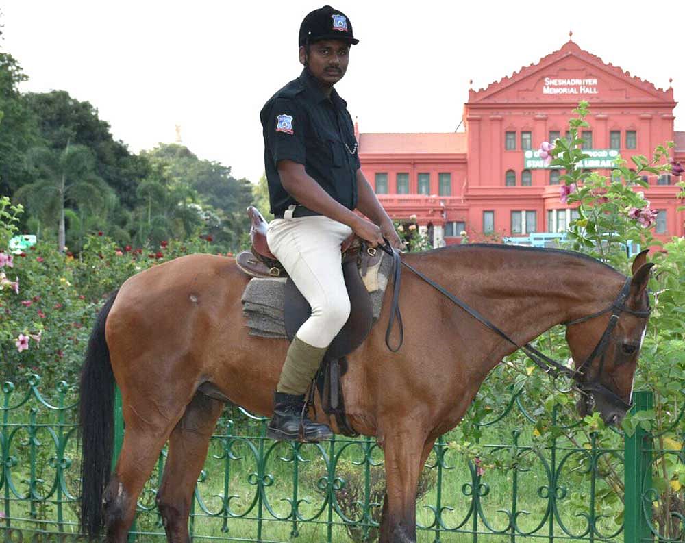 A mounted policeman the new uniform with the logo of the city police.