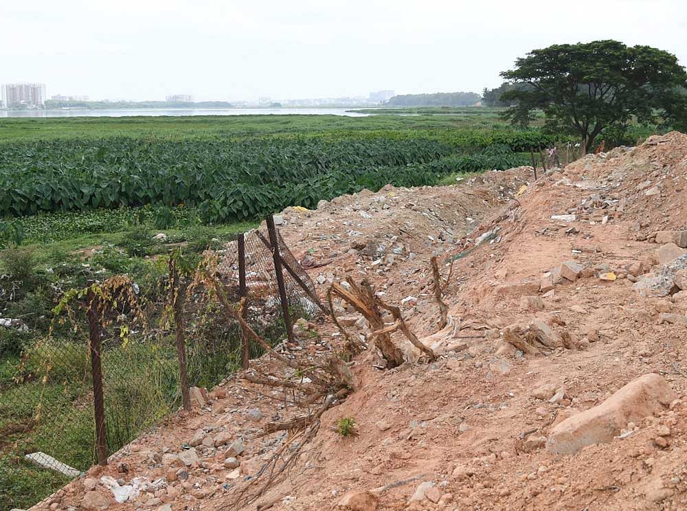 The fence around the Bellandur lake was damaged  following dumping of debris into the lakebed. DH PHOTO