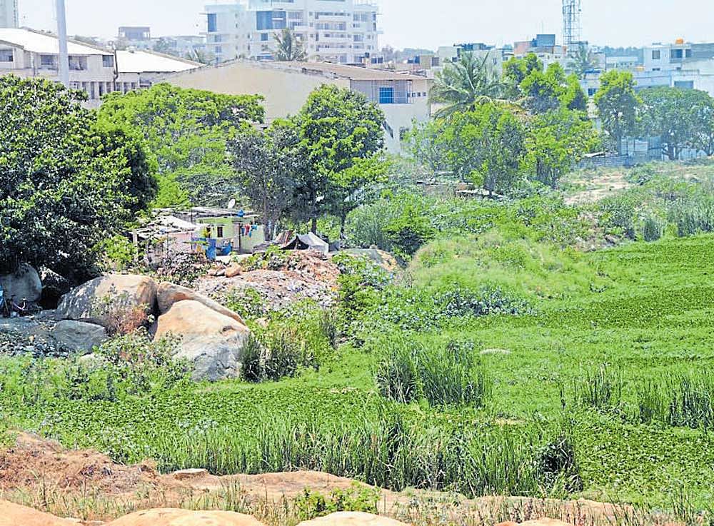 The National&#8200;Green Tribunal has ordered that all encroachments on lakes be cleared, illegal structures demolished and steps taken to revive the water bodies. DH FILE PHOTO