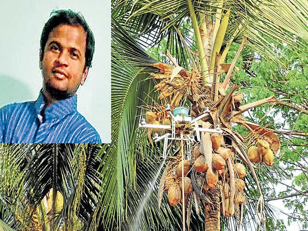 The drone developed by Avinash Rao (inset) not only saves areca nut trees fromgetting infected by pests, but also paints tall buildings with 10 to 15 floors
