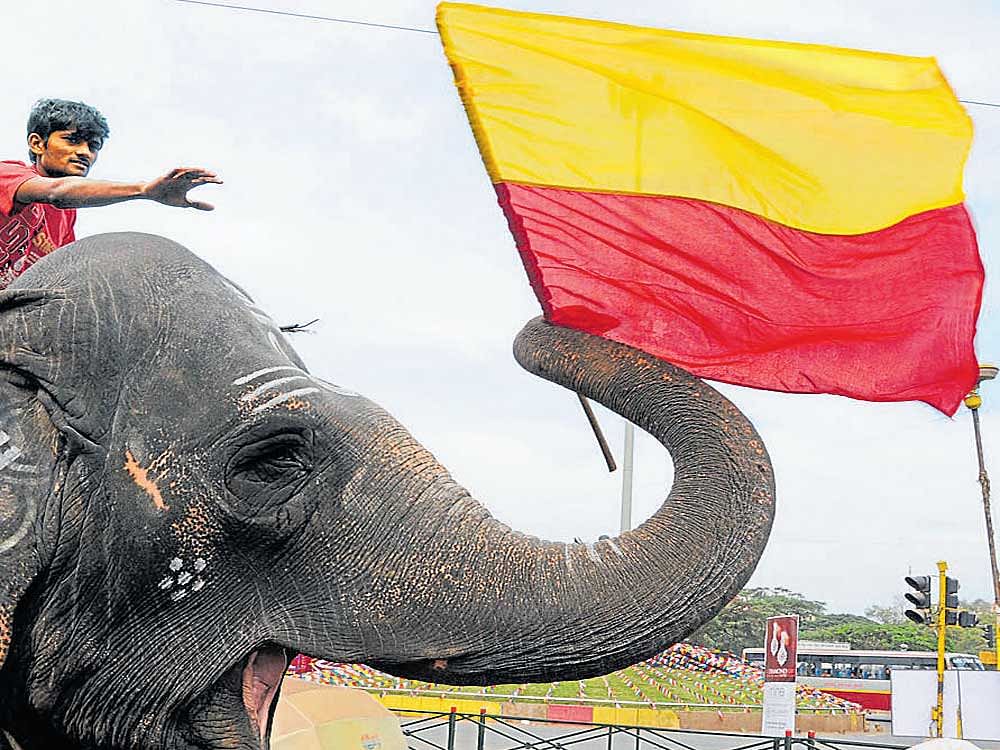 The flag was first conceived by Kannada activist Ma Ramamurthy. DH&#8200;File photo