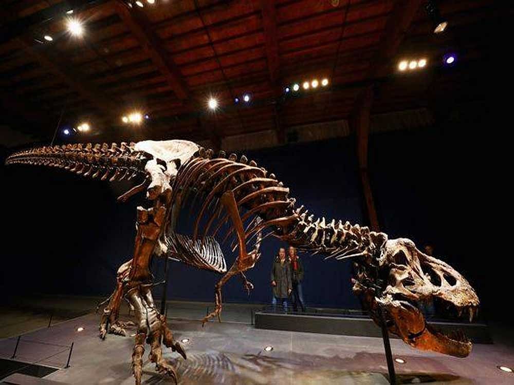 T rex dinosaur could not have run at high speed: study