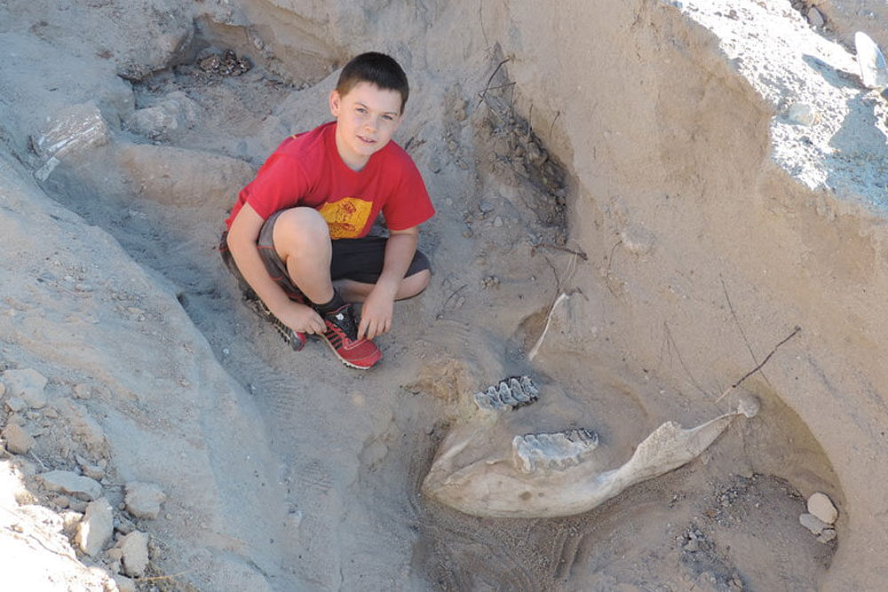 The boy, Jude Sparks, found the fossil unwittingly when he tripped over it. Photo: Peter Houde.