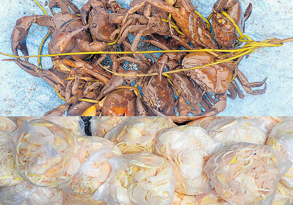 Crabs being sold near Madikeri KSRTC bus stand and Bamboo shoots laid out for sale. DH Photos