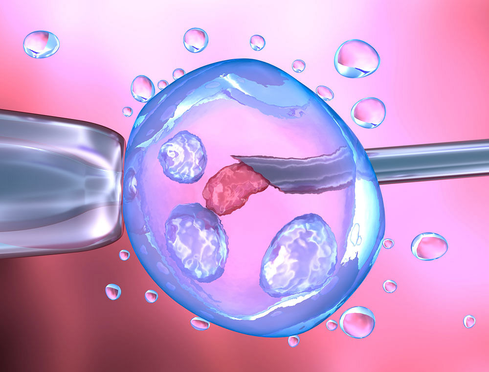 The effort, led by Shoukhrat Mitalipov of Oregon Health and Science University in the US, involved changing the DNA of a large number of one-cell embryos with the controversial gene-editing technique CRISPR. Representational Image. File Photo.