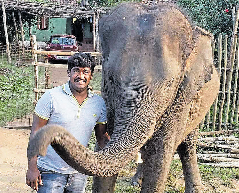 A picture of Abhilash posing with one of the jumbos.