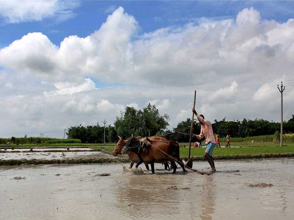 Overall, sowing for the Kharif crop has been completed on 75% of the farm land available for the season. PTI file photo