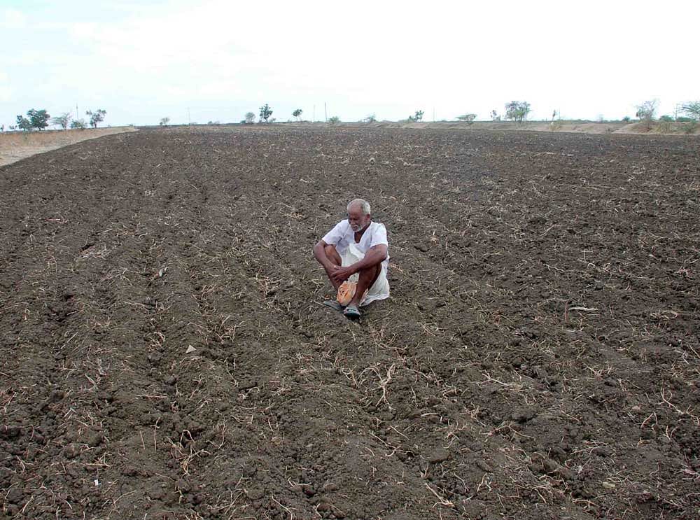 The economist calculated the additional number of deaths attributable to warming in the growing season throughout India since 1980 and found that by 2013, rising temperature trends were responsible for over 4,000 additional deaths annually across India, accounting for about 3% of annual suicides. File image for representation.