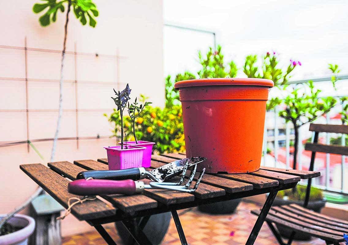 Urban gardening on an apartment's balcony social work