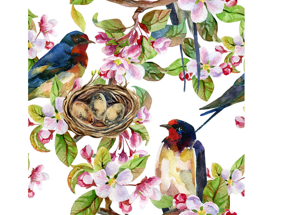 Apple blossom and swallows. Watercolor bird on spring branch with nest and blooming flowers. Hand painted illustration on white background