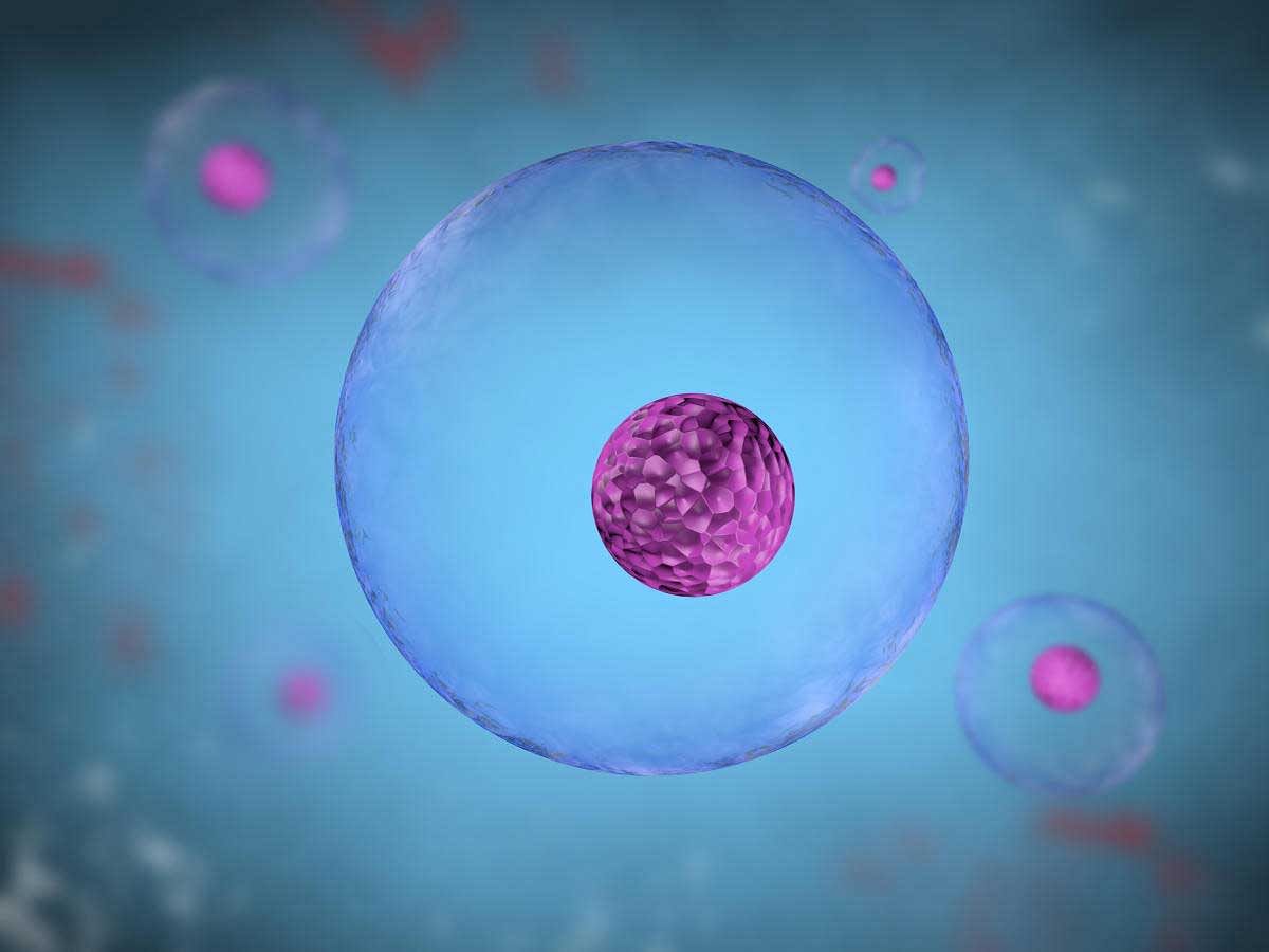 UNIQUE ENVIRONMENT The purpose of acidic pH in endosomes has always been credited to its role in activating lysosomal enzymes. REPRESENTATIVE IMAGE