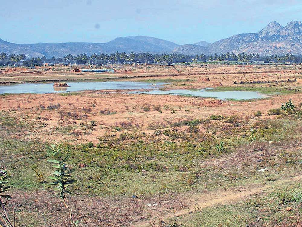 The project, which is expected to make available 2.7 tmcft of water, envisages rejuvenating the lakes and improving the water table. DH&#8200;File photo