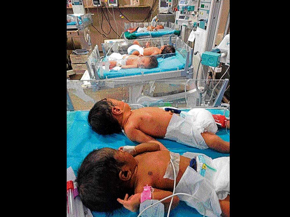 Vani Vilas Hospital, an exclusive hospital for women and children, has only around 60 beds for preterm infants, while they handle at least 1,500 deliveries a month, besides  200 babies who are referred from other parts of Karnataka.  DH FILE PHOTO