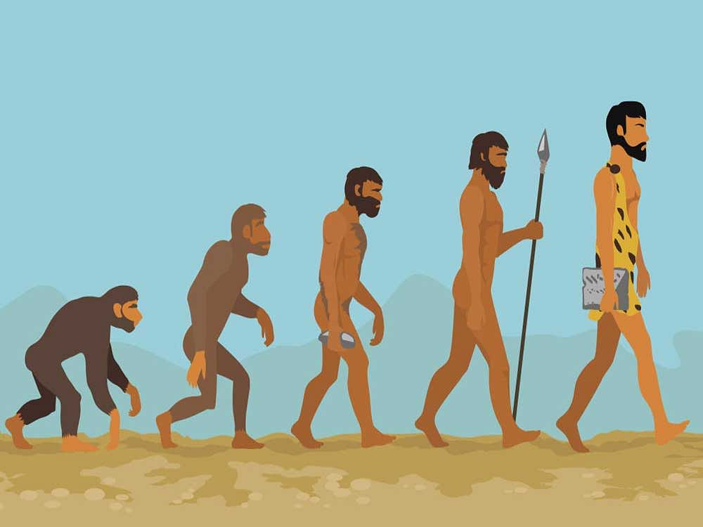 Concept of human evolution from ape to man. Man evolution. Development progress, primate growth, ancestor and mankind, caveman and neanderthal, mammal generation illustration. Neanderthal and monkey