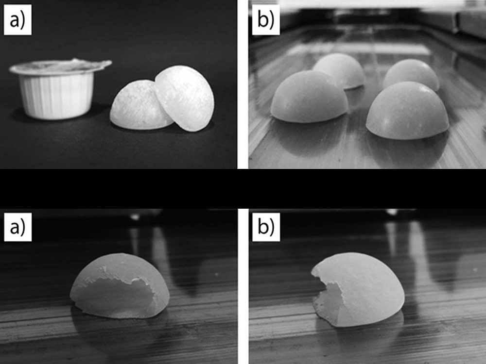 [Above] Capsule containing (a) milk and (b) condensed milk. [Below] Crashed crystalline coat (sucrose); (a) front view; (b) side view.