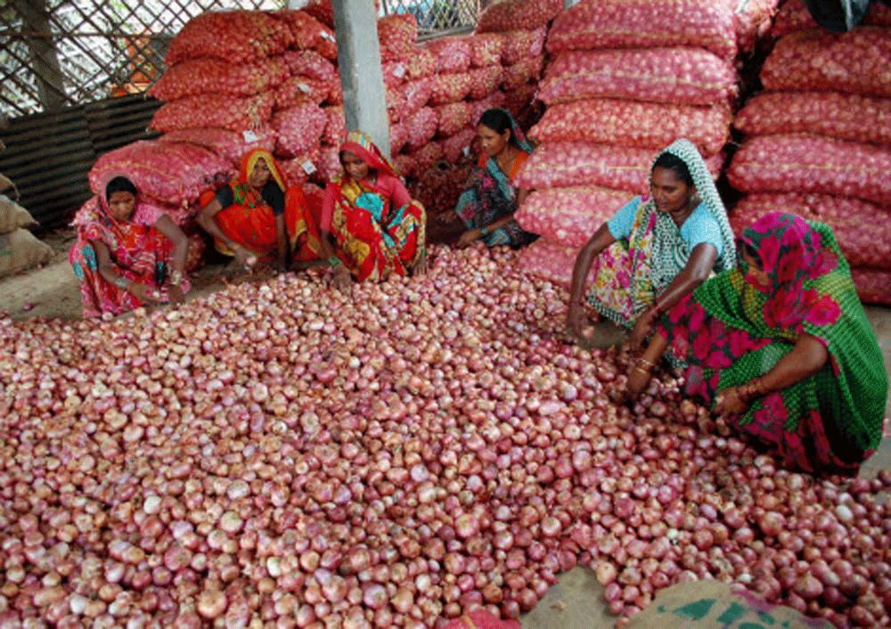 Onion prices have soared from Rs 15 per kilo in July to Rs 28, while the increase has been much steeper in the metros. PTI file photo