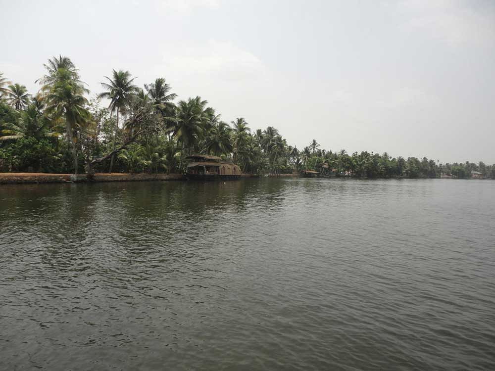 Enticing backwaters