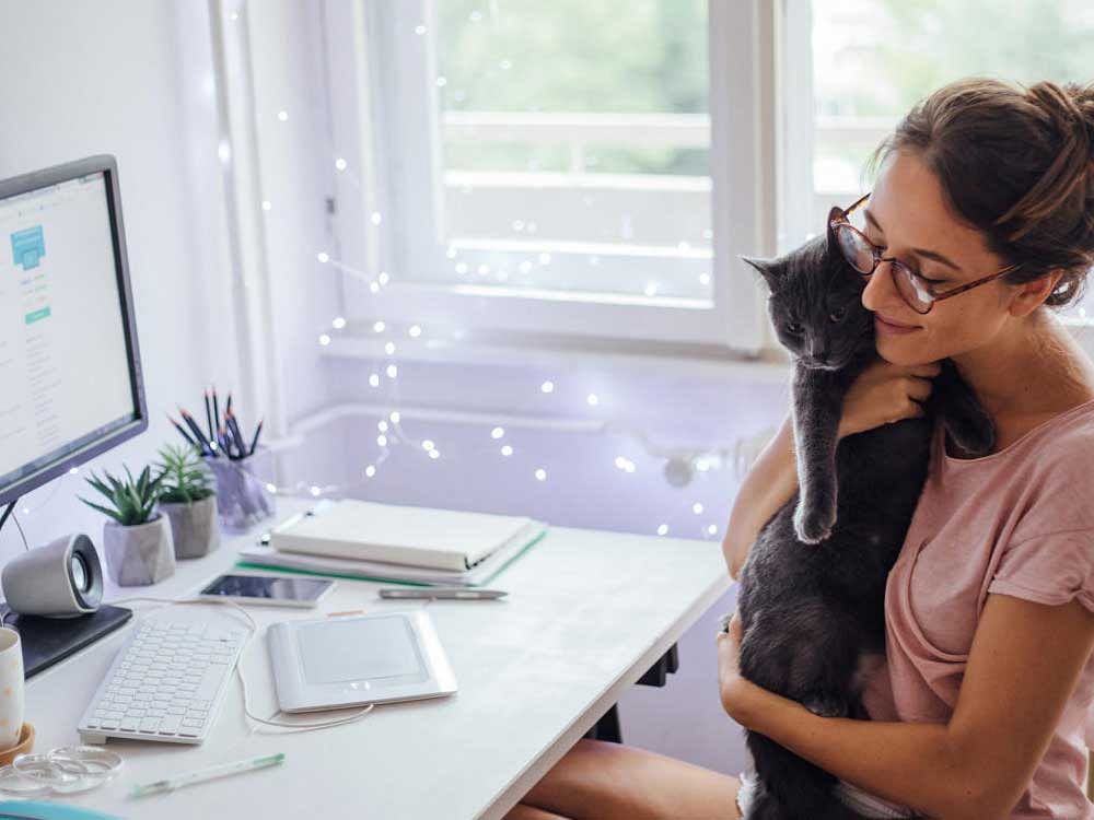 Woman in home office surrounded with digital technology playing with cat. Image for representation