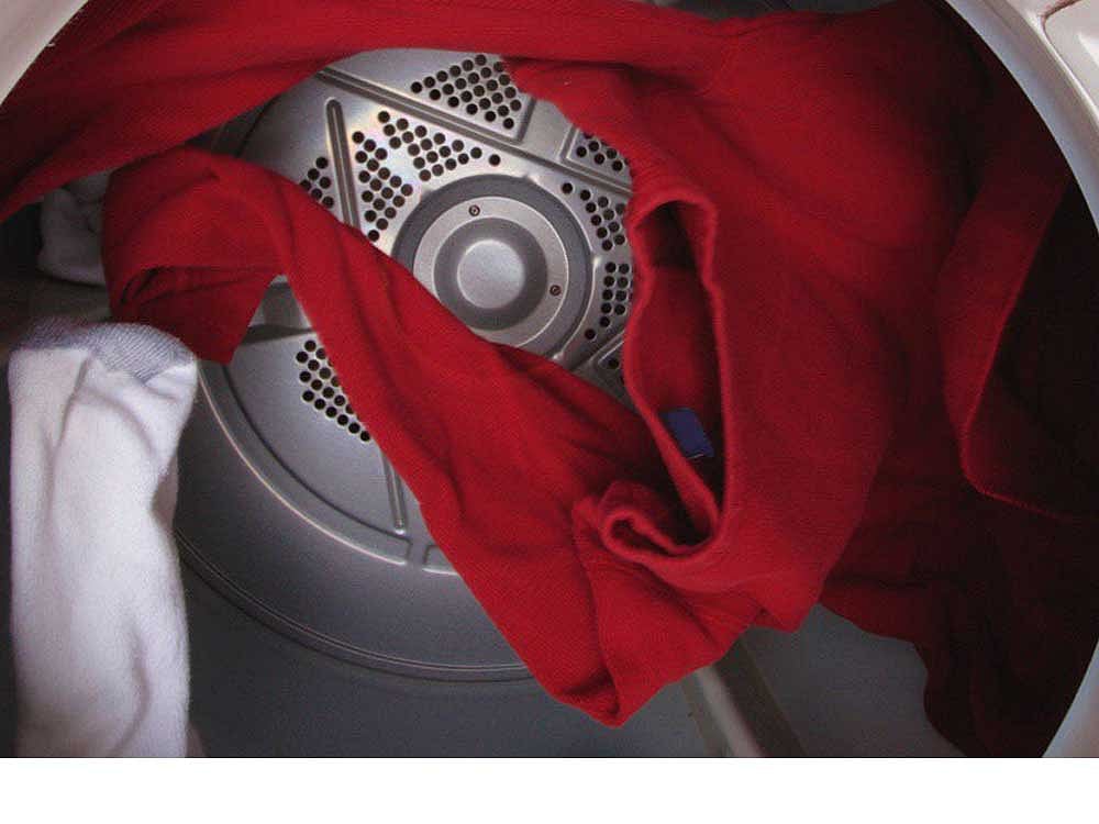 Dirty laundry allows bed bugs to thrive study