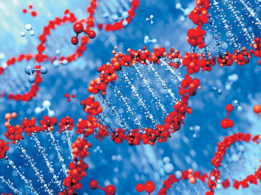 DNA was a result of evolution of the RNA, which would be the original building block of life, according to scientists.