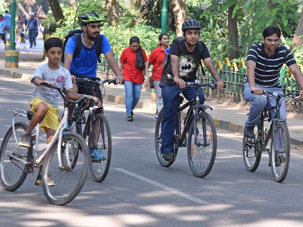 Cyclists in Cubbon Park, Bengaluru. DH Photo by S K Dinesh