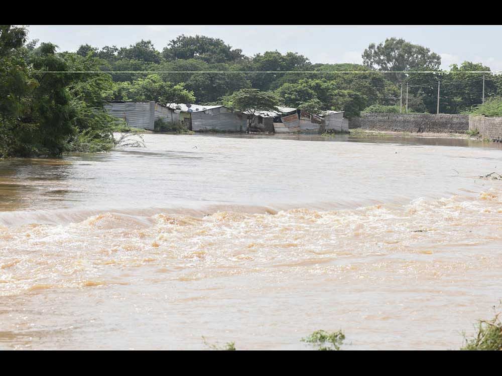 Rain water over flowing on the Chikkanahalli Badavane in Davangere on Tuesday (03-10-17), Photo By : Anup R. Thippeswamy.