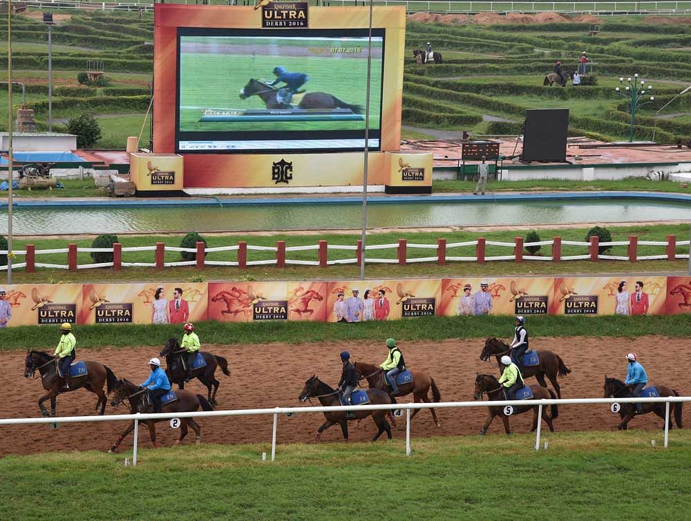 Cavallo Solutions, a racing solution specialist company located in Queensland, has written a letter to Chief Minister Siddaramaiah, seeking the government's opinion on giving the company the rights to conduct racing in the city.