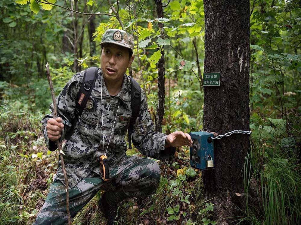Liang Fengen, a ranger at the Nuanquan River Forestry Centre, shows a heat sensor camera as he surveys an area in Suiyang in China. AFP