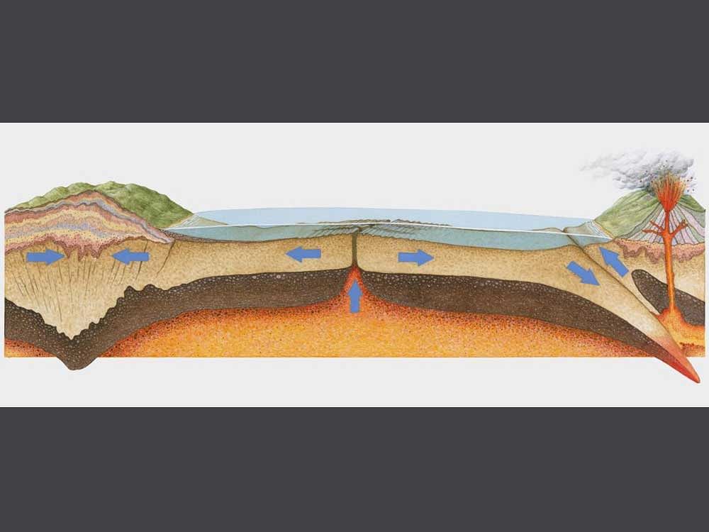 CRUCIAL FIND One of the key observations made for plate tectonics was of sea-floor spreading, a process that creates a new crust at the ridges by upwelling magma.