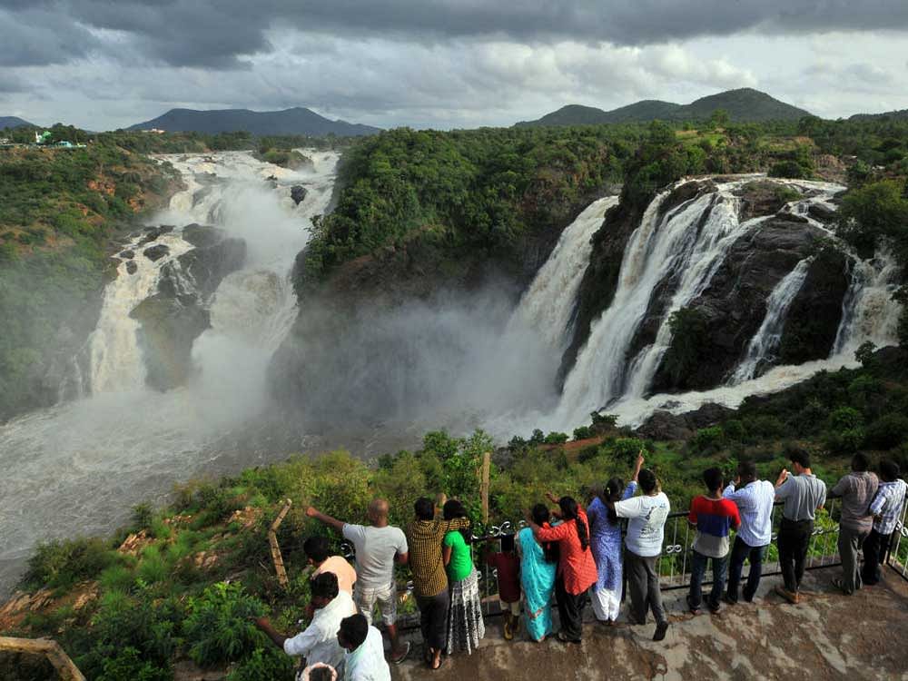 The Gaganachukki and Bharachukki Falls are seen in full splendour following release of water from Kabini and KRS reservoirs in Malavalli Taluk on Tuesday
