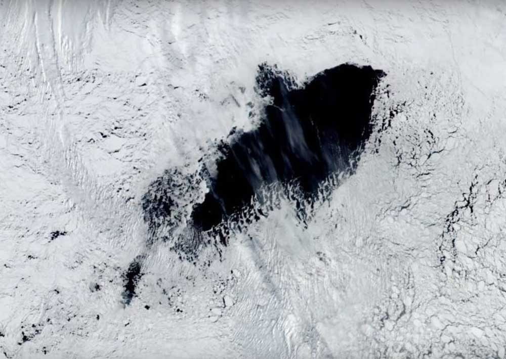The newly formed polynya has an area of 80,000 square kilometers.