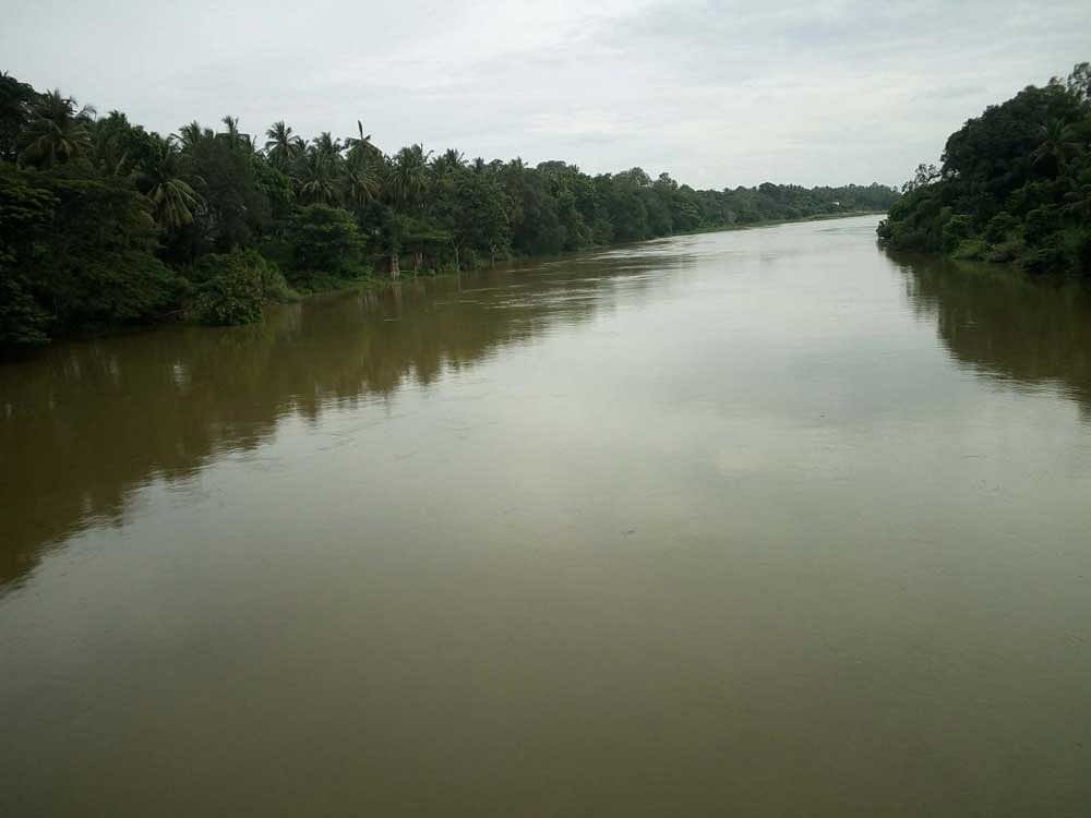 Shimsha river in Mandya district is full following heavy rain in the region. DH photo